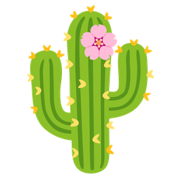 cherry blossom and cactus