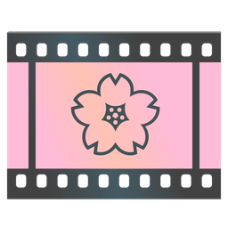 cherry blossom and film frames