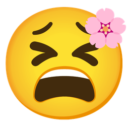 cherry blossom and tired face