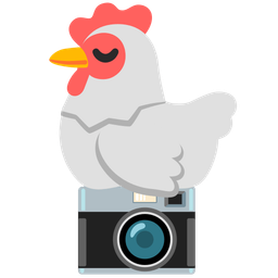 chicken and camera