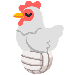 chicken and volleyball