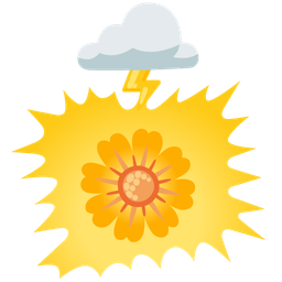 cloud with lightning and blossom