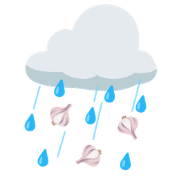 cloud with rain and garlic