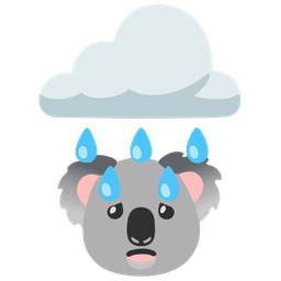 cloud with rain and koala