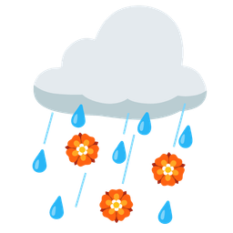 cloud with rain and rosette