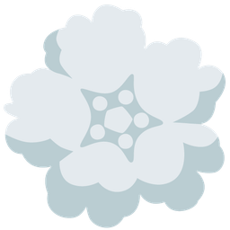 cloud and cherry blossom