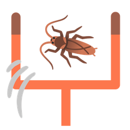cockroach and american football