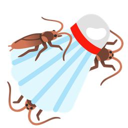 cockroach and badminton