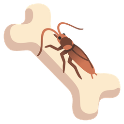 cockroach and bone