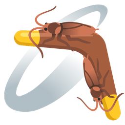 cockroach and boomerang
