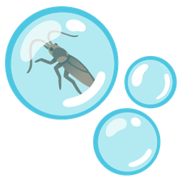 cockroach and bubbles