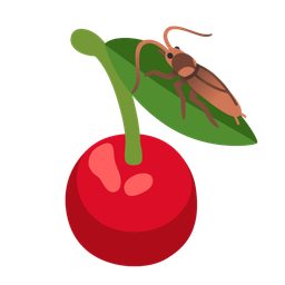 cockroach and cherries