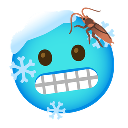 cockroach and cold face
