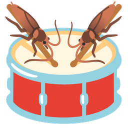 cockroach and drum