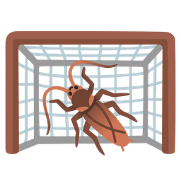 cockroach and goal net