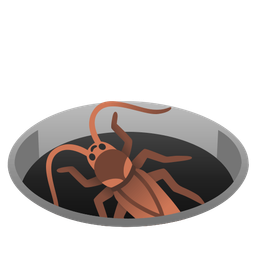 cockroach and hole