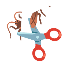 cockroach and scissors