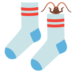 cockroach and socks