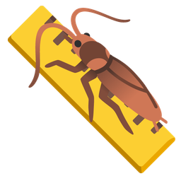 cockroach and straight ruler
