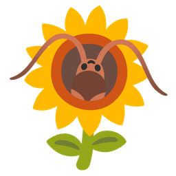 cockroach and sunflower