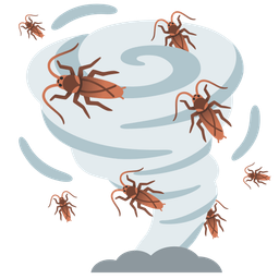 cockroach and tornado