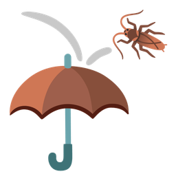 cockroach and umbrella