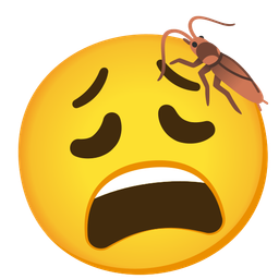 cockroach and weary face