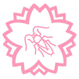 cockroach and white flower