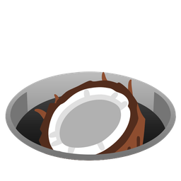 coconut and hole