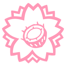 coconut and white flower