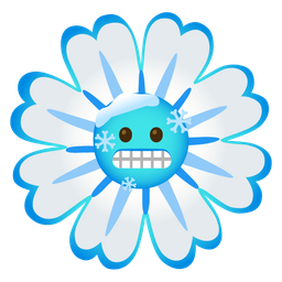 cold face and blossom