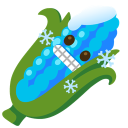 cold face and ear of corn