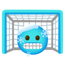 cold face and goal net