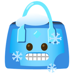 cold face and handbag