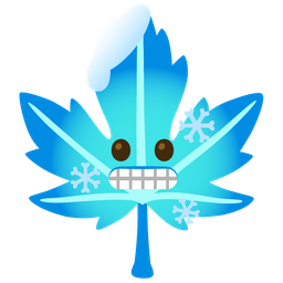 cold face and maple leaf