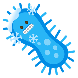 cold face and microbe