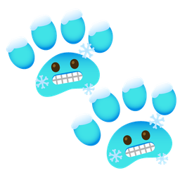 cold face and paw prints