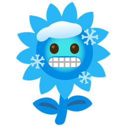 cold face and sunflower