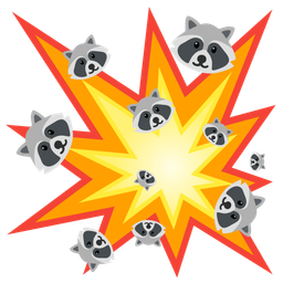 collision and raccoon