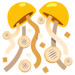 confetti ball and flatbread