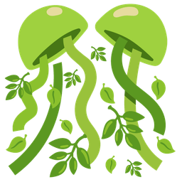 confetti ball and herb