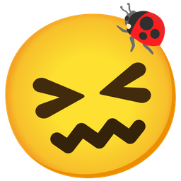 confounded face and lady beetle