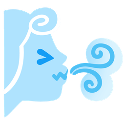 confounded face and wind face