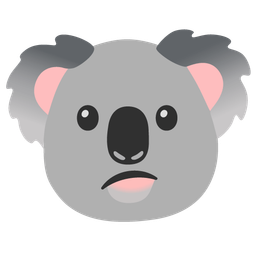 Confused face and Koala