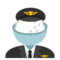 Cooked rice and Airplane