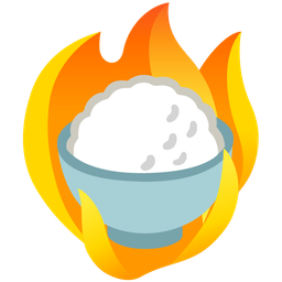 Cooked rice and Fire