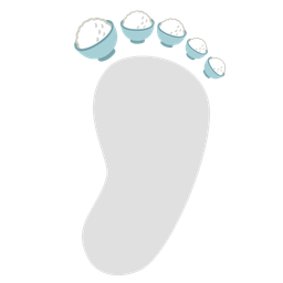 Cooked rice and Footprints