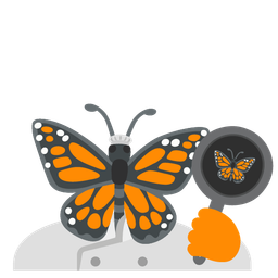 cooking and butterfly