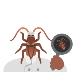 cooking and cockroach