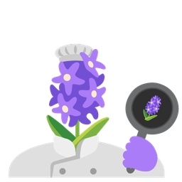 cooking and hyacinth